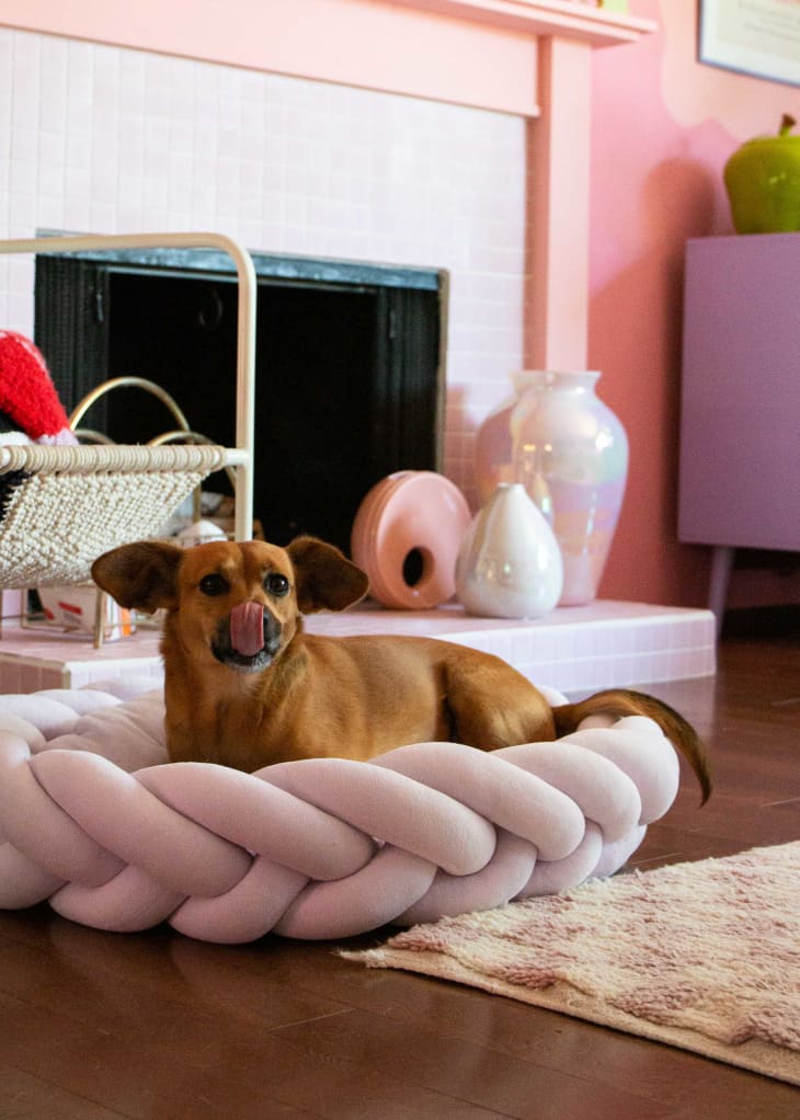 best-pet-advent-calendars-for-dogs-and-cats-chewy-2022-holiday-season